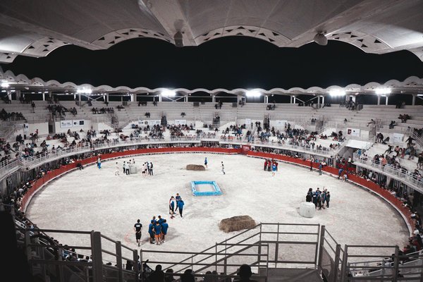 Ultimate Polo Player Recovery: Top Post-Match Strategies for Peak Performance